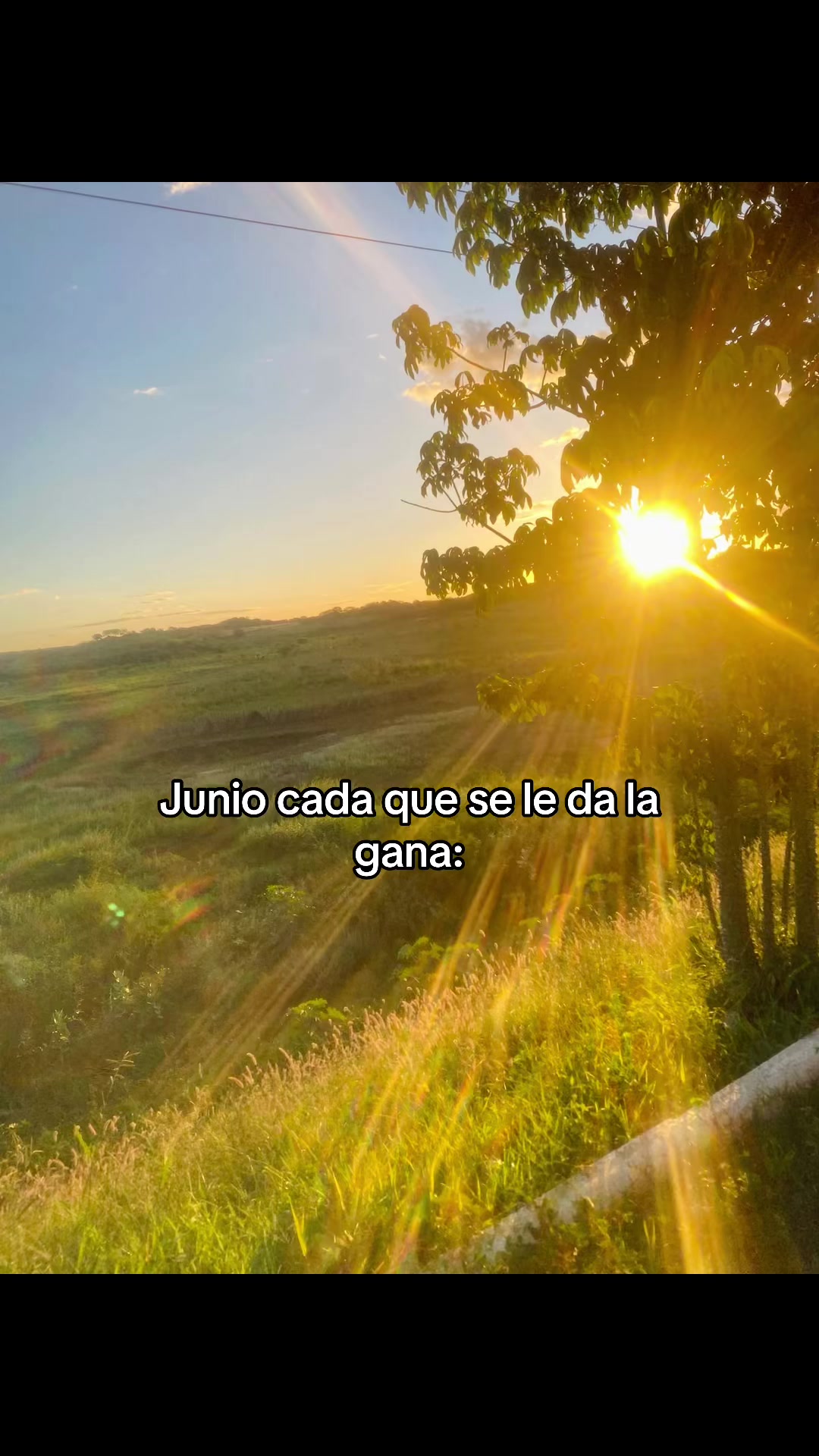 @🌚🍄𝓞reo 🍄🌚