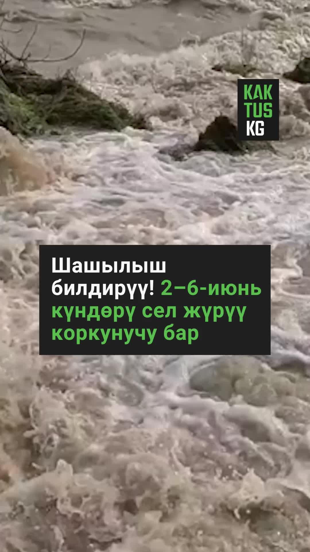 @Kaktus KG