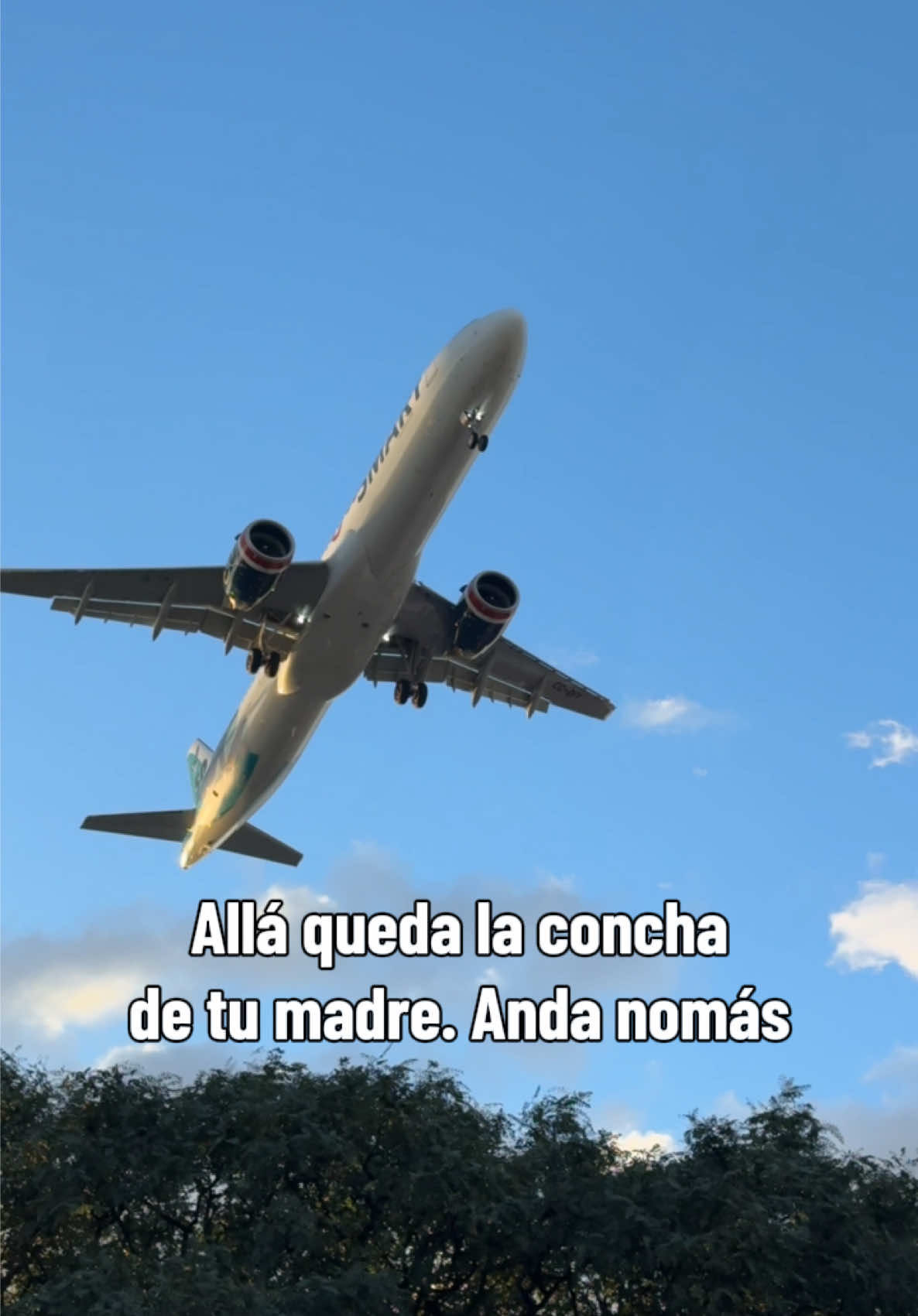 @Contenido UGC | Marketing