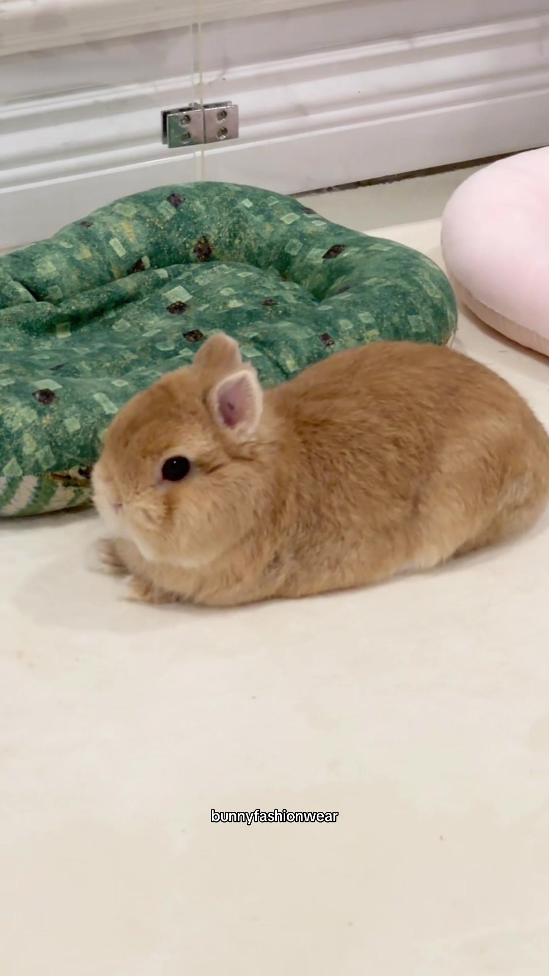 @Eggie