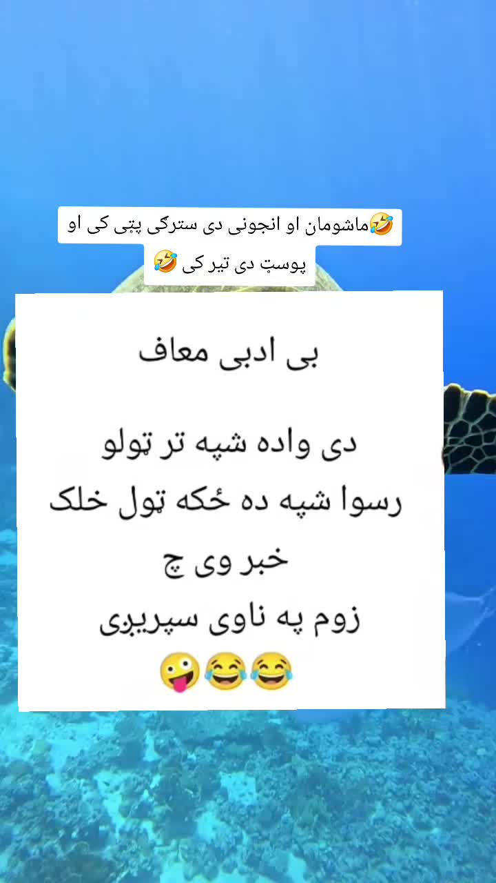 @funnysmile2026