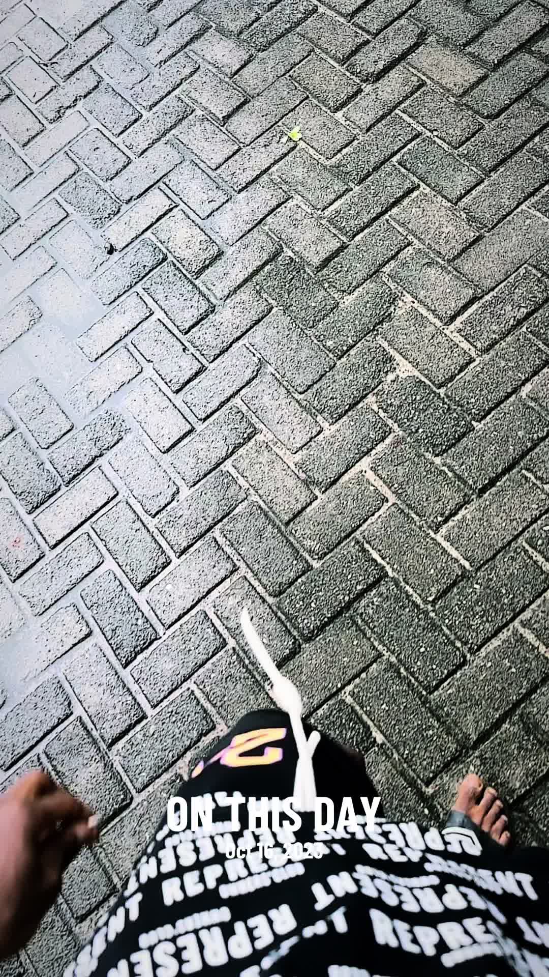 @ELchappO💰🫩