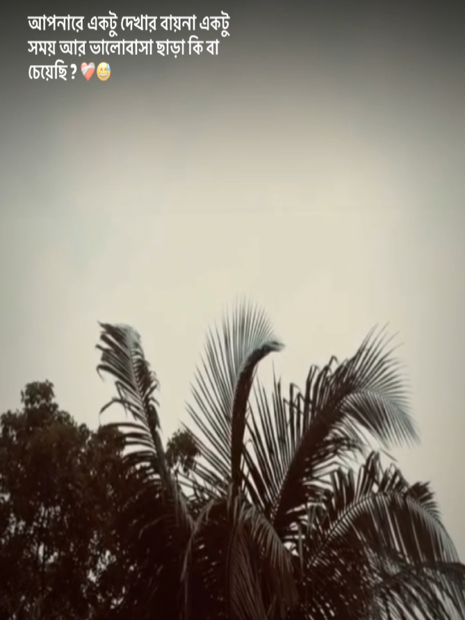 @এক প্রবাসীর গল্প  সৌদি আরব🇸🇦