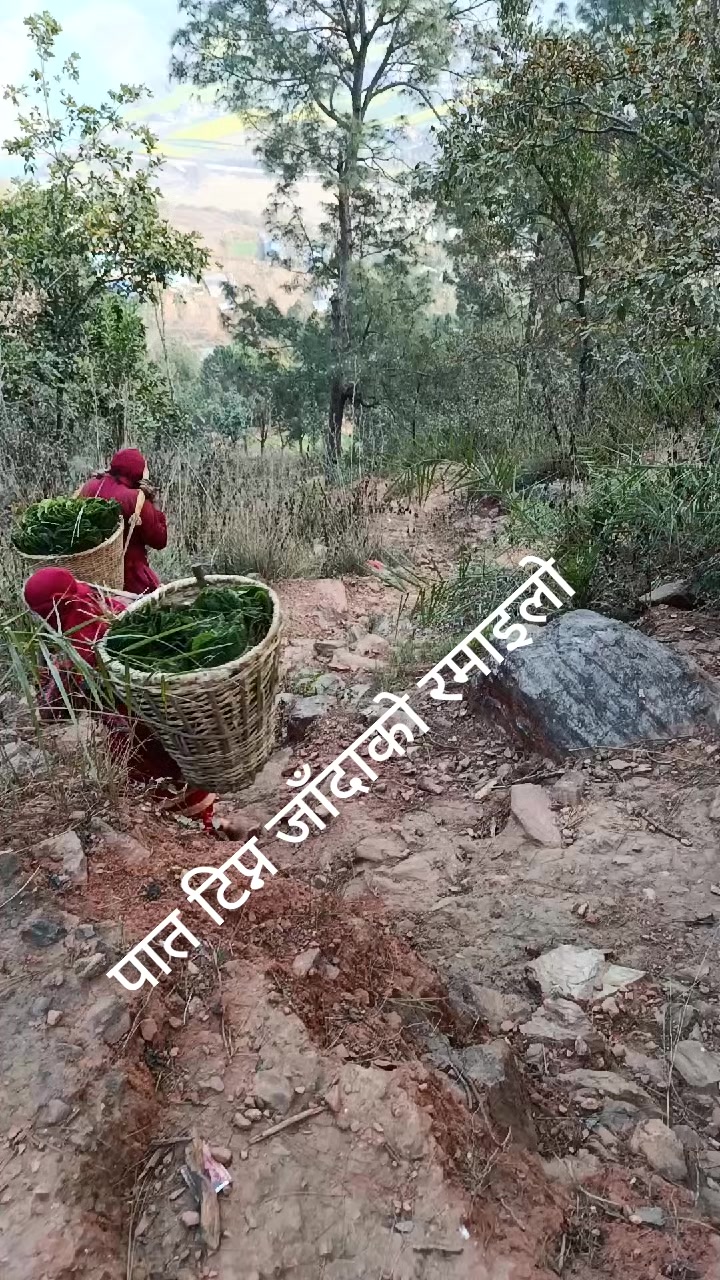 @Debaki Sapkota