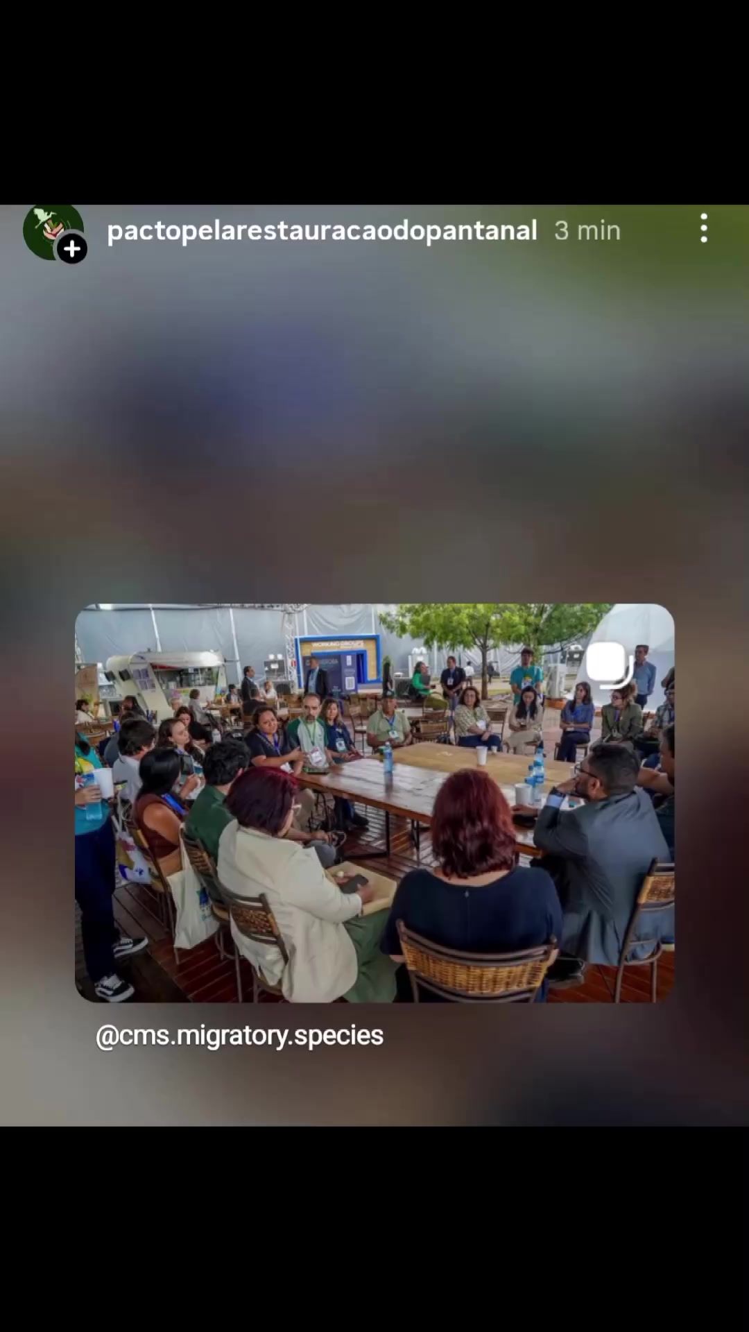 @pactopelarestauracaodoPantanal