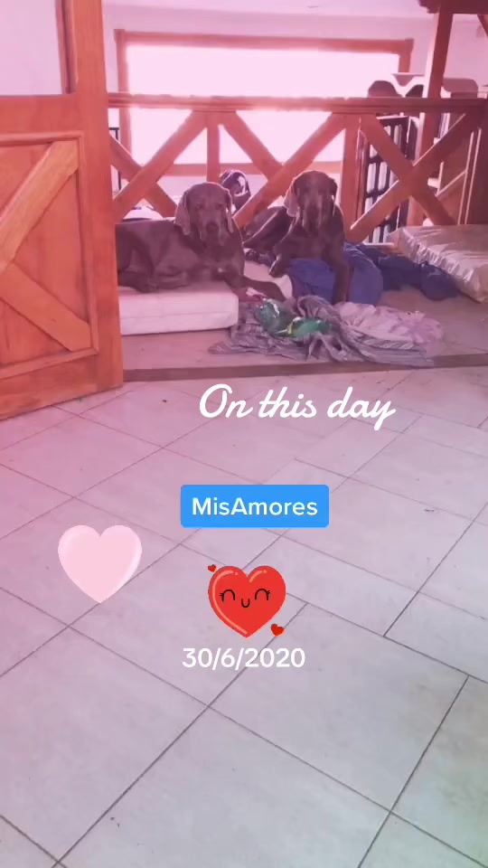 @Chinita