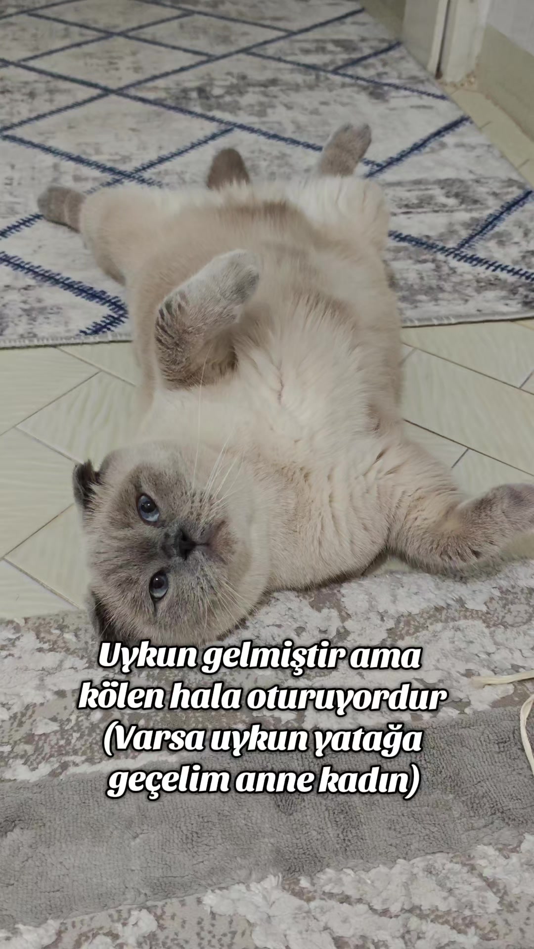 @💙SÜTLAÇ BEY💙
