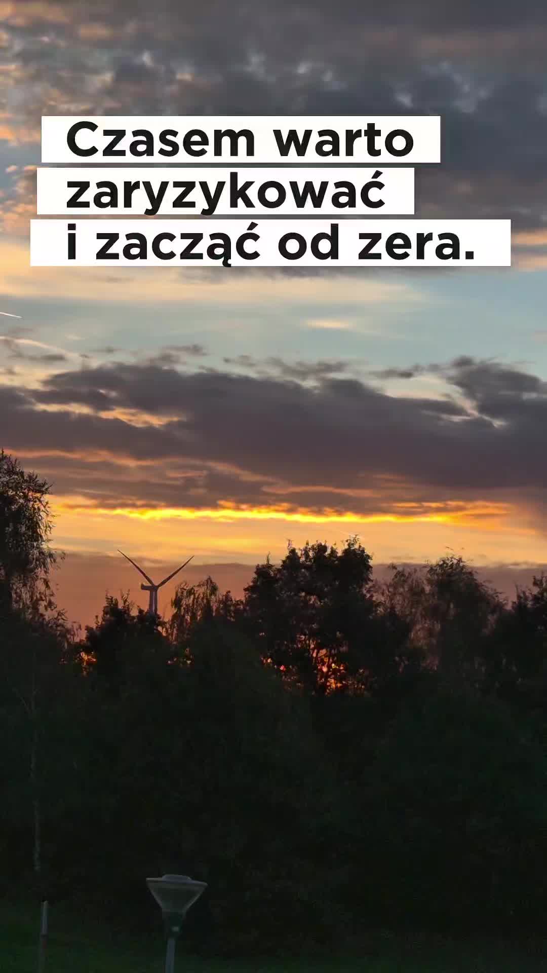 @Śladami Zebry