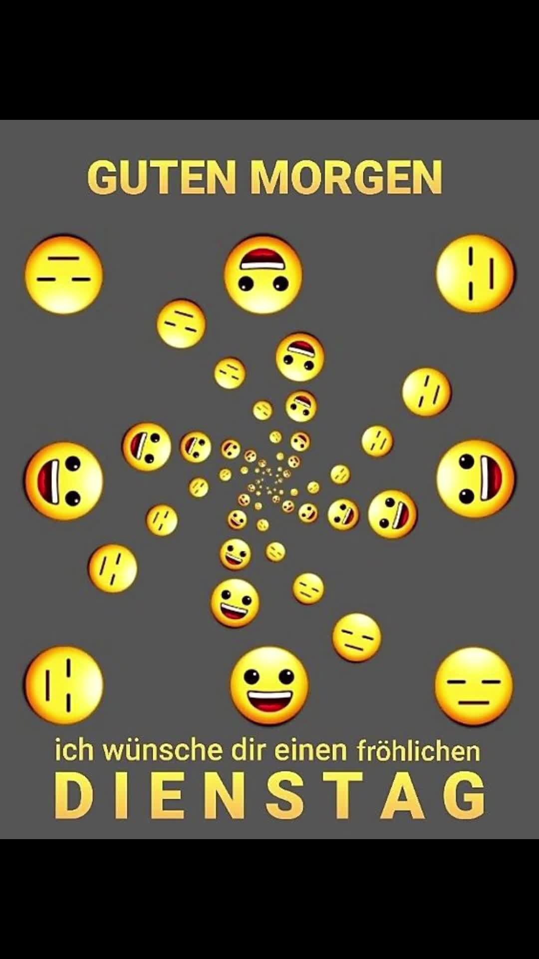 @dagmarschoondy