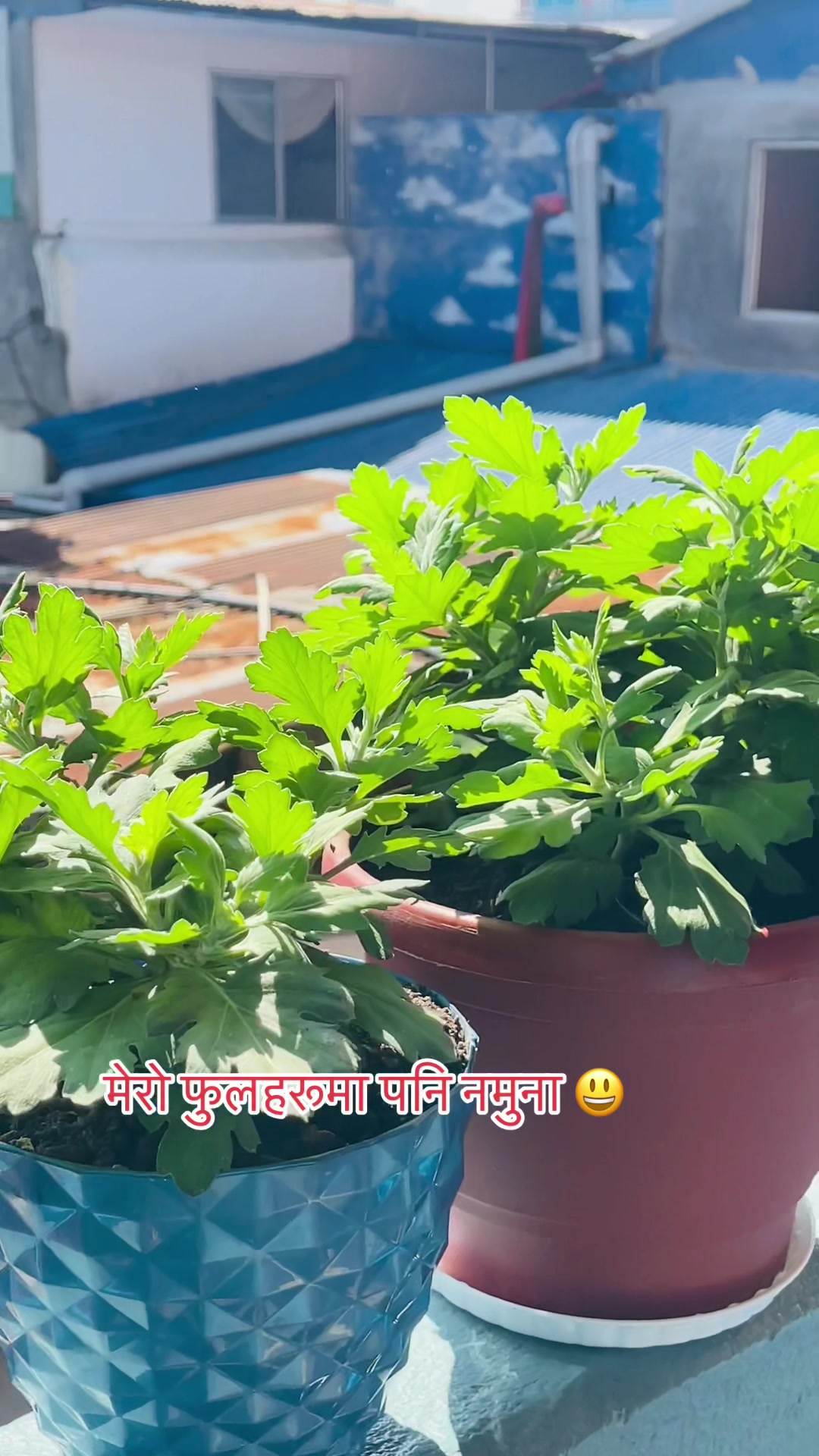 @Sunima Gurung