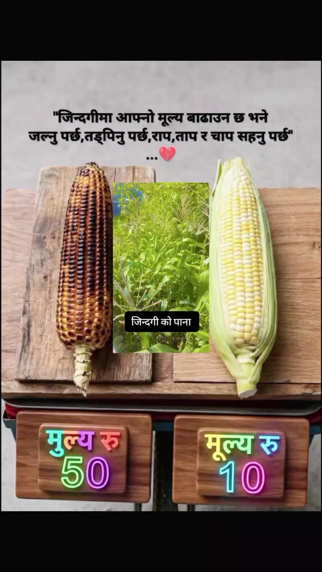 @अर्जुन सेन्चुरी &szlig;&kappa;.(धादिङे)