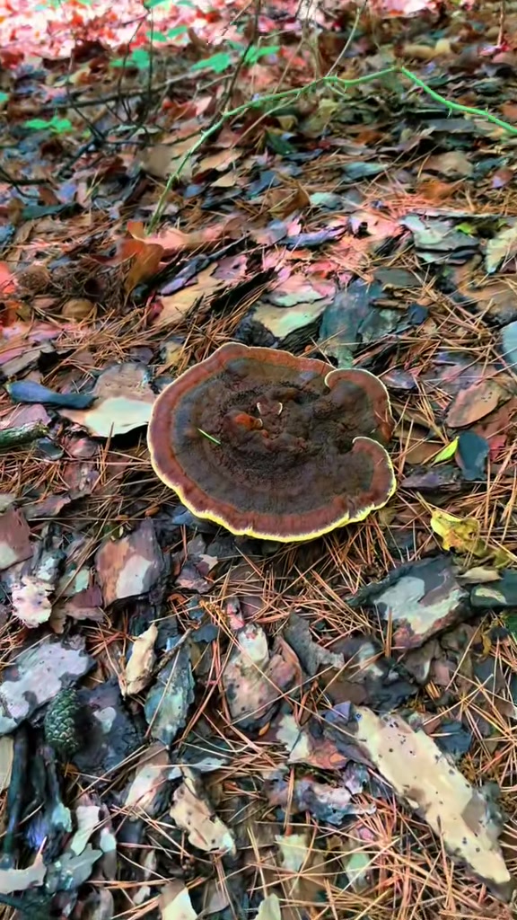 @Davin: Hiking + Outdoors