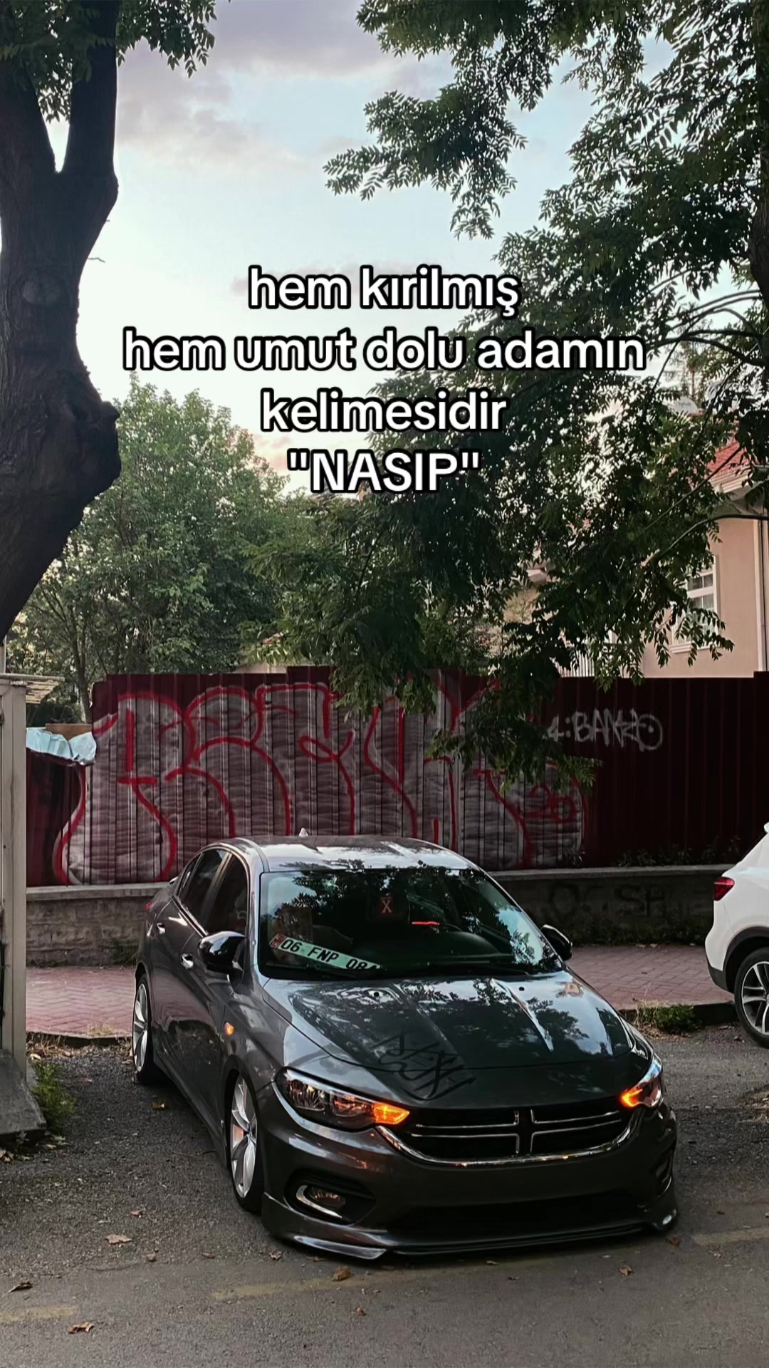 @████████████