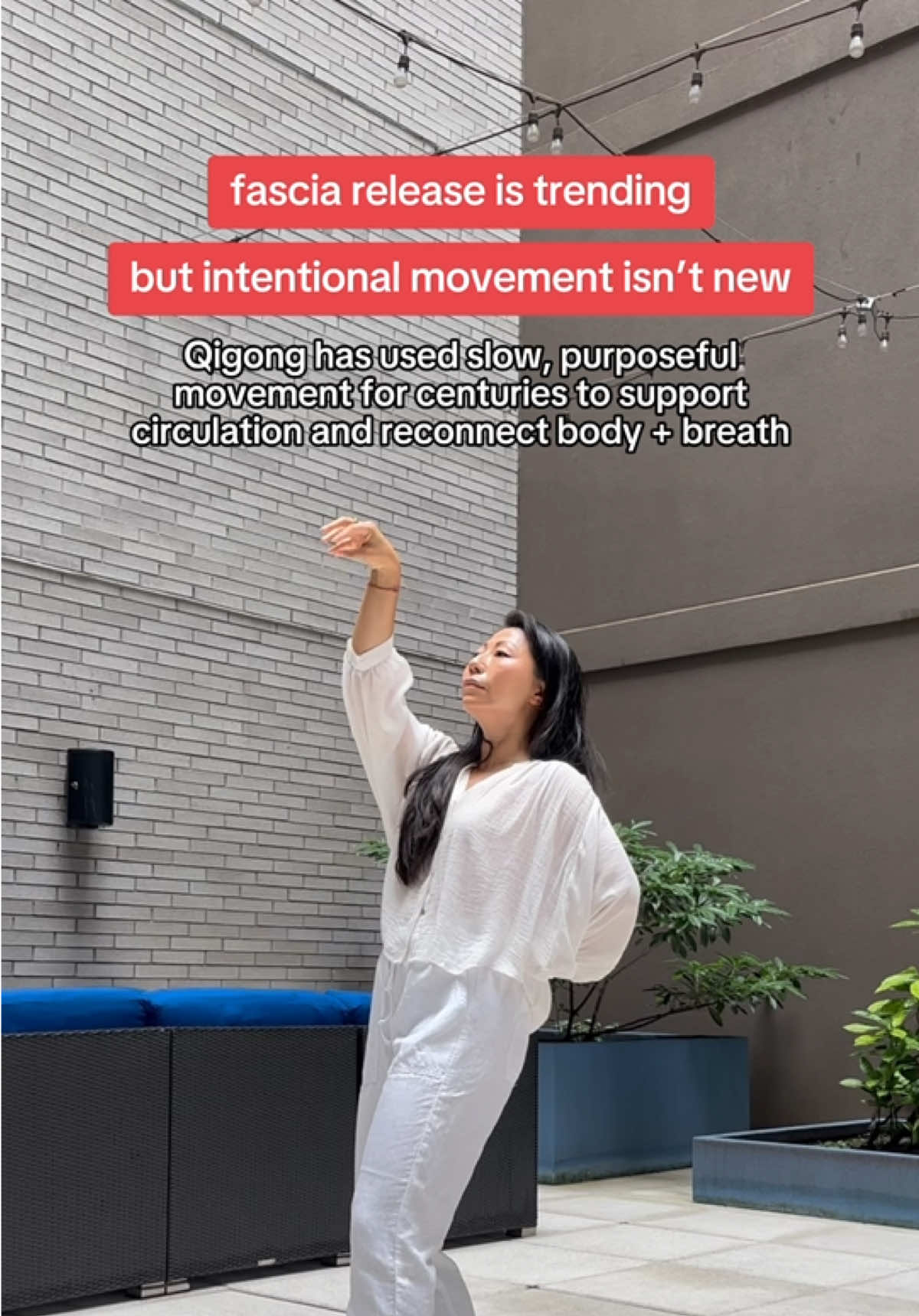 @Lulu - Elix Founder