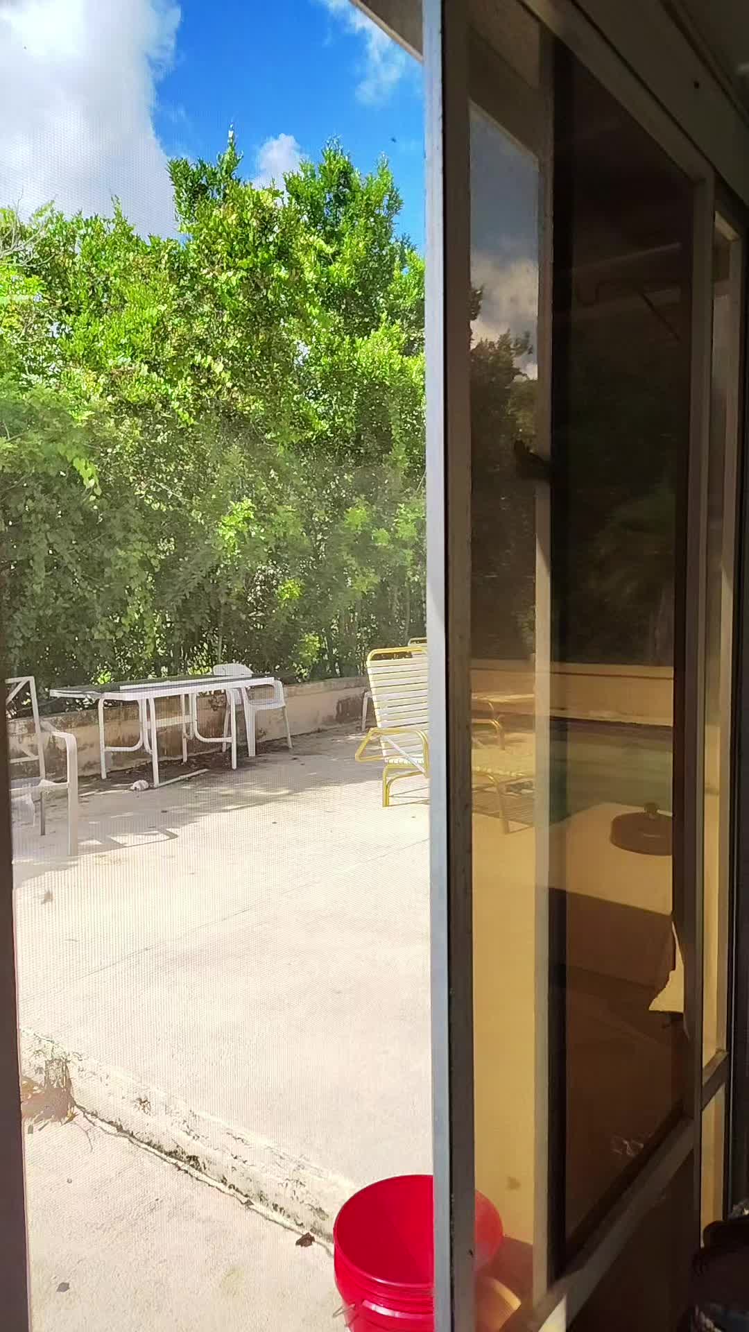 @Butterfly Sanctuary 333