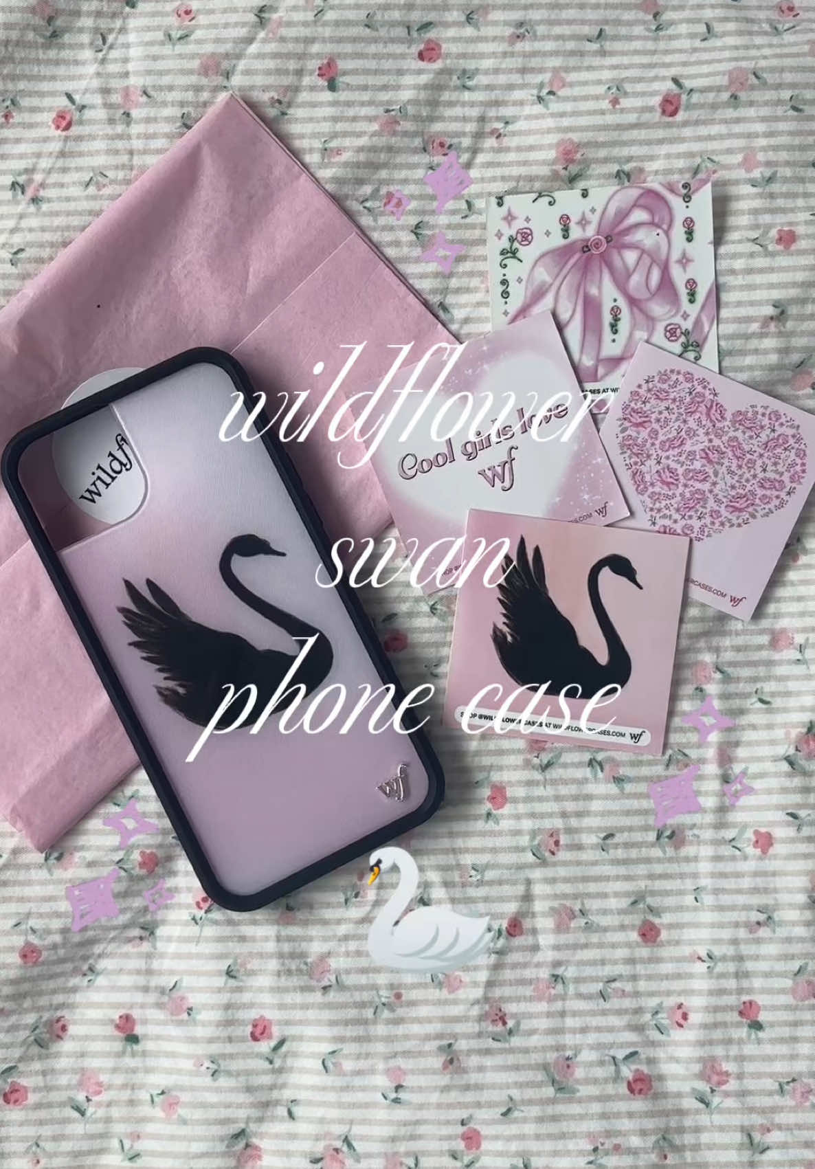 @⋆౨ৎ˚ nina ⟡˖ ࣪