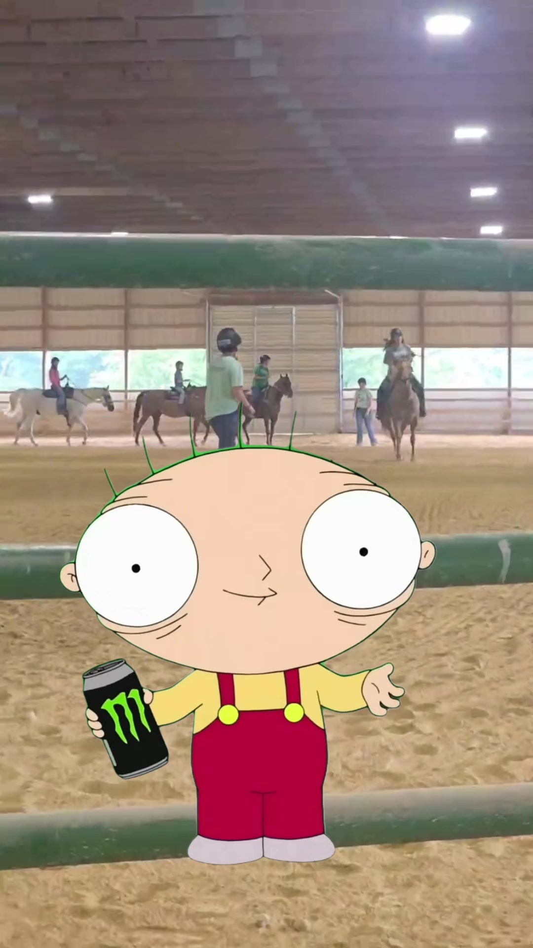 @NASCAR fan/levi