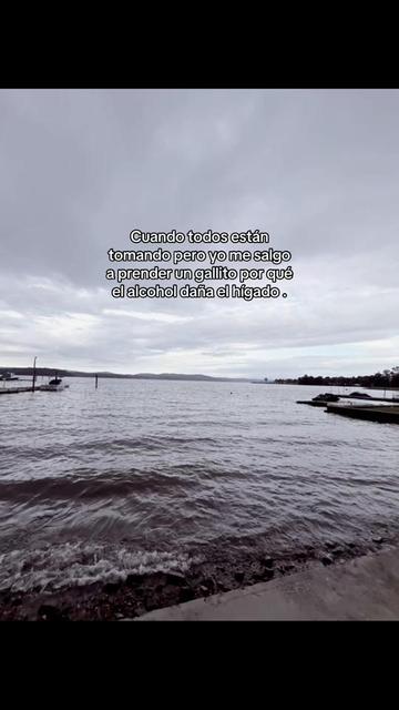 @fichu