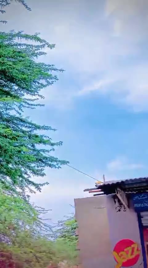 @Malik Amir Awan