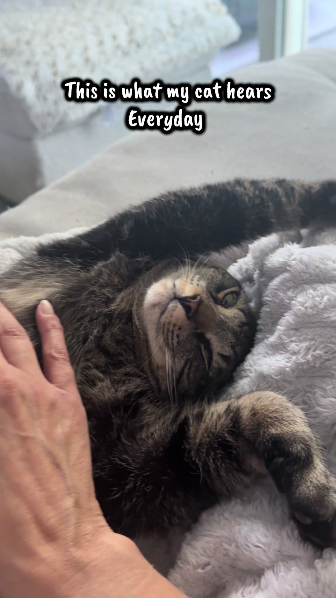 @TailsandWhiskersCo