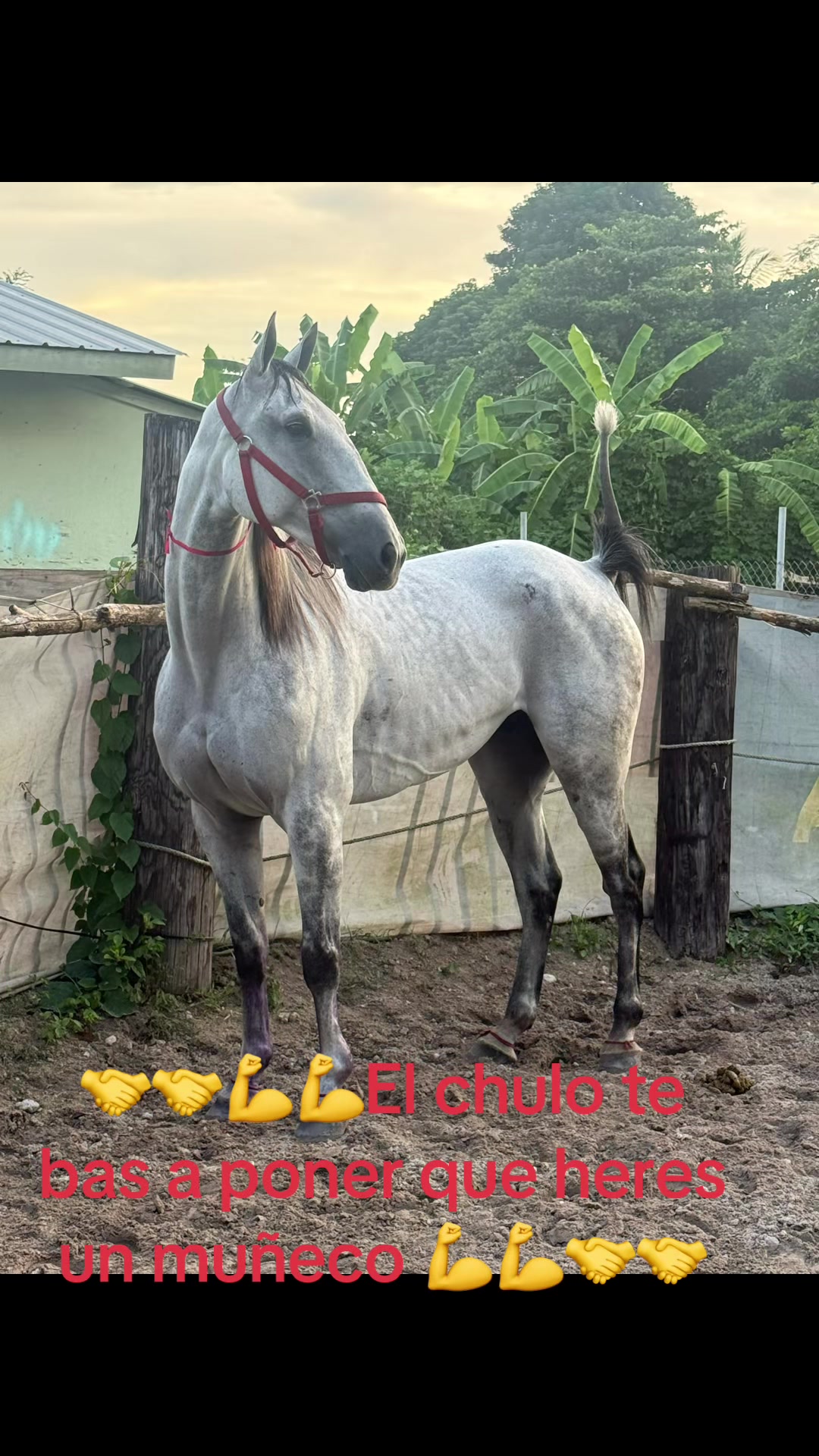 @🔥🔥❤️EL FEO ❤️🔥🔥