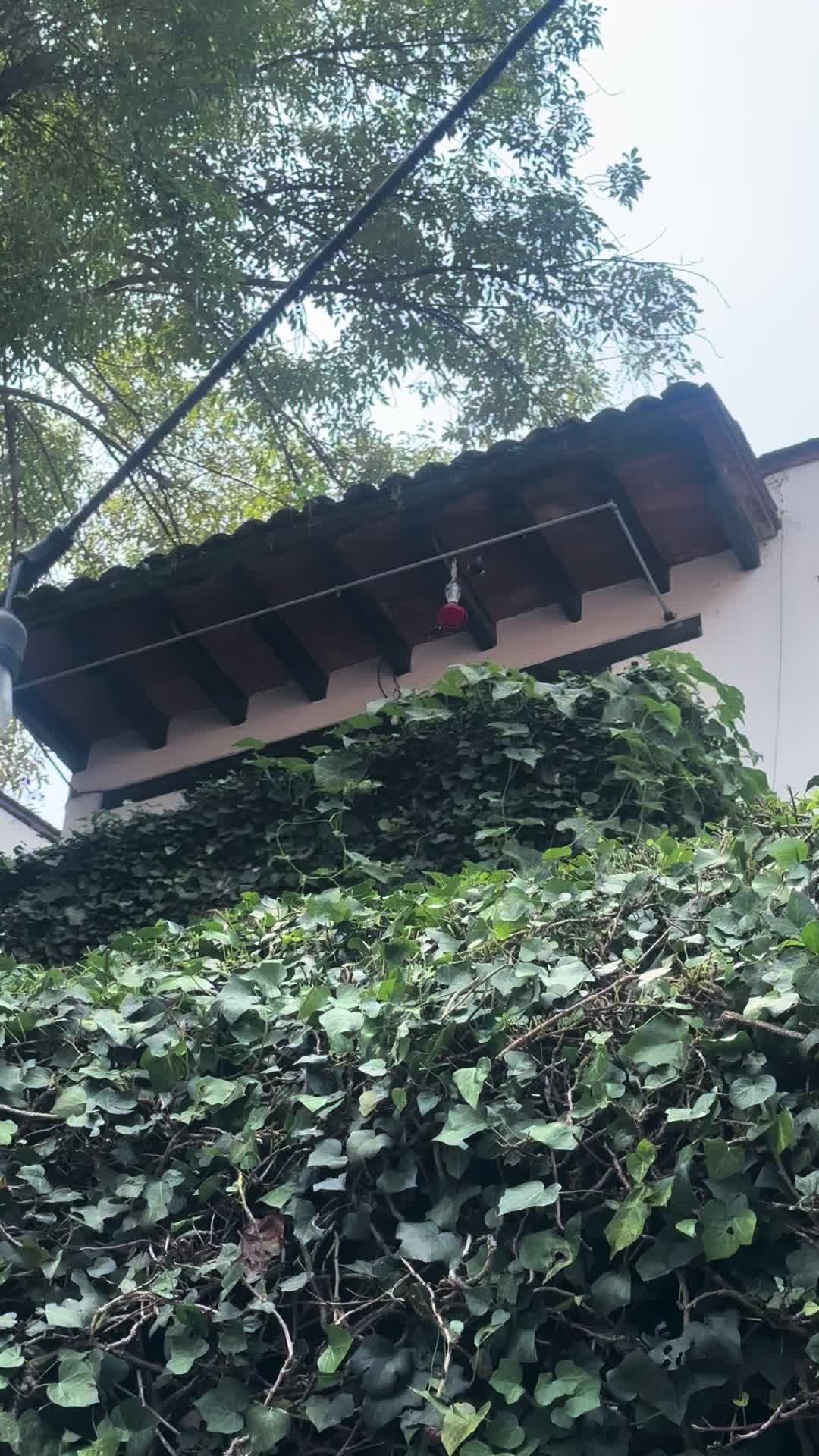 @Elia Ayala