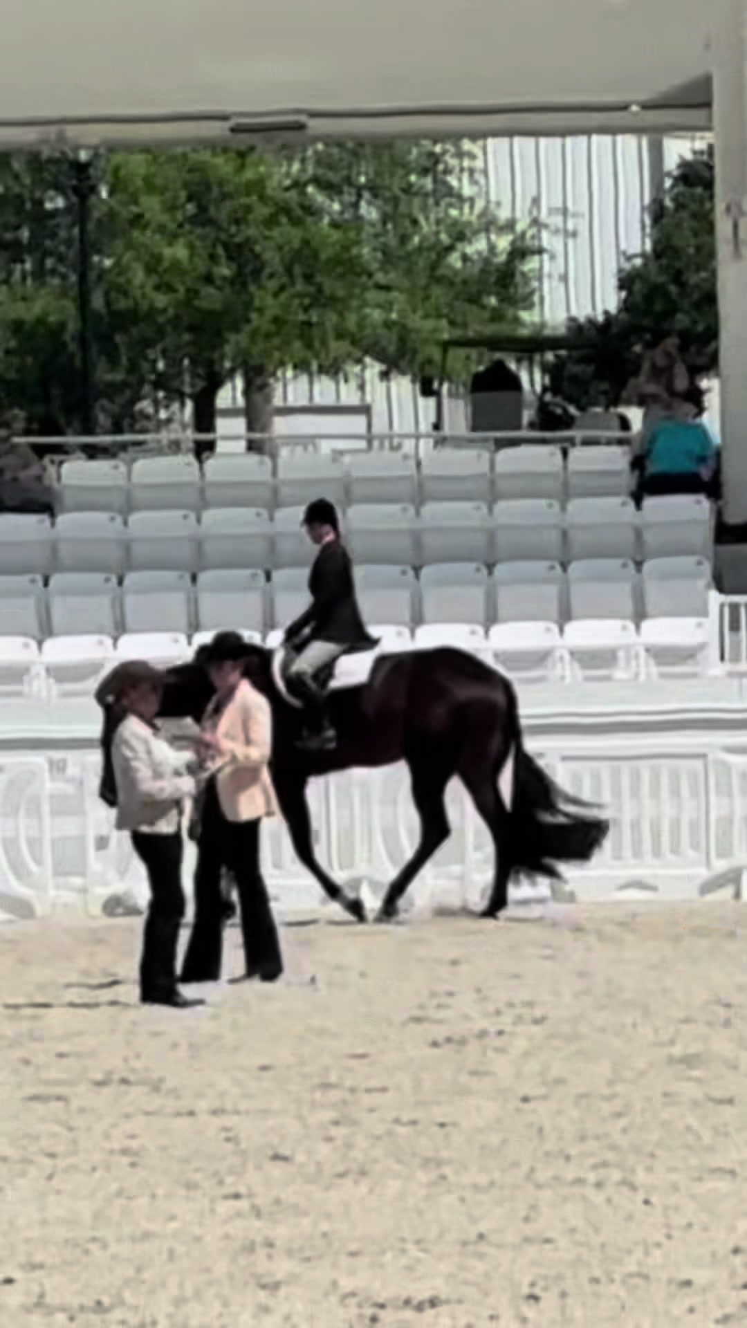 @Farley McLendon Show Horses