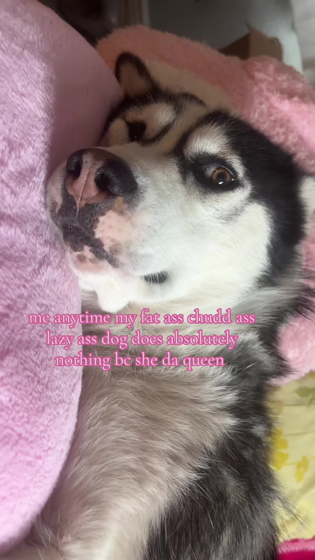 @krystalmfff