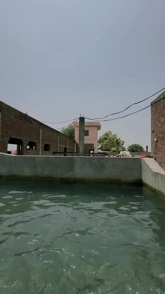 @ch sultan gondal