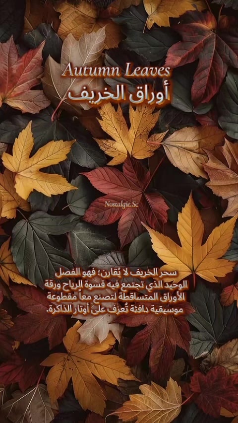 @🇱🇧🄽🄾🅂🅃🄰🄻🄶🄸🄴70 80 90
