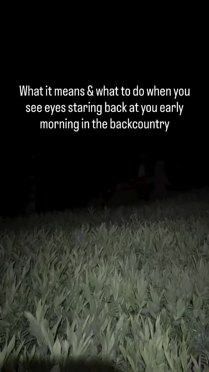 @wilderness.education