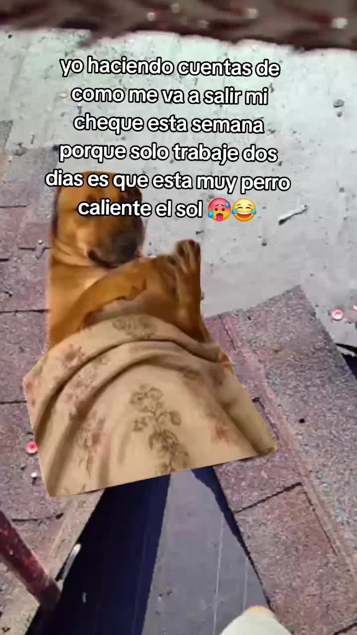 @Lucy🇲🇽👷♀️