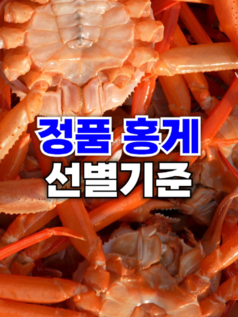 @싱싱헌터스