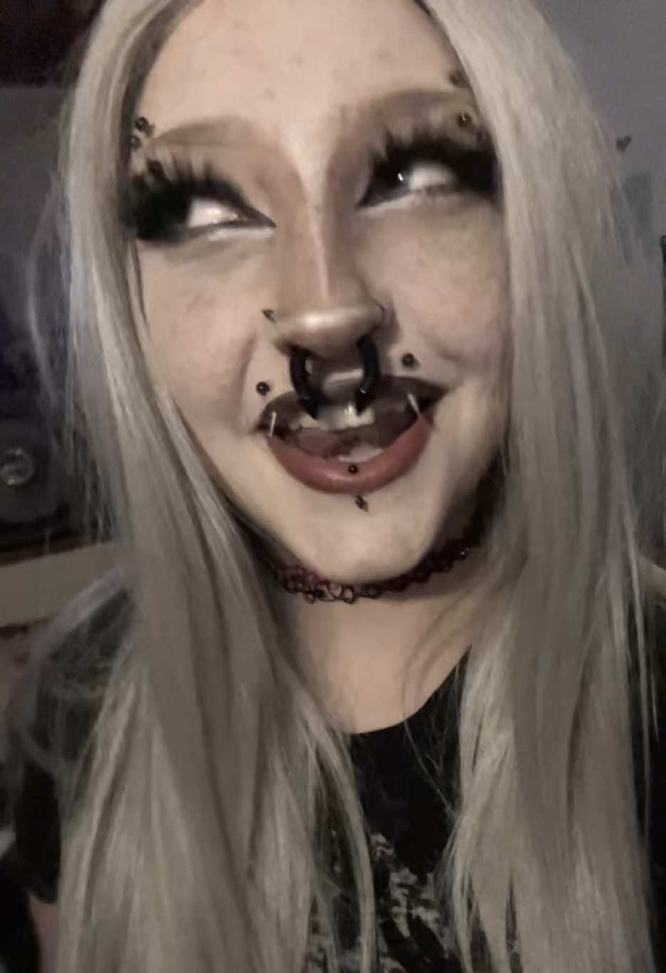 @punk.tails