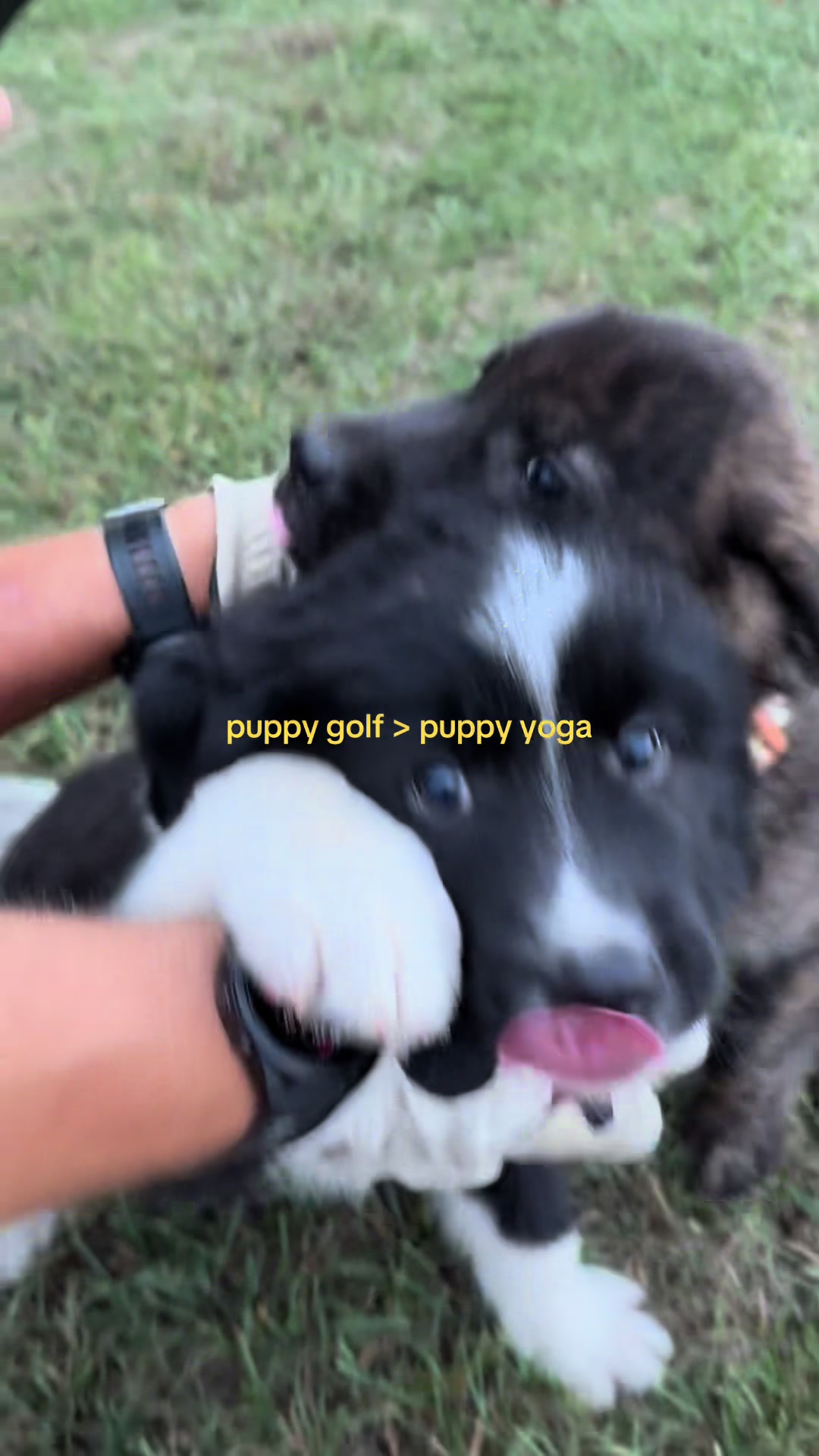 @Benji