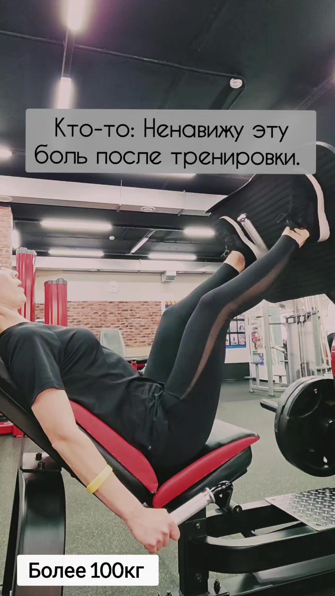 @elenchik84