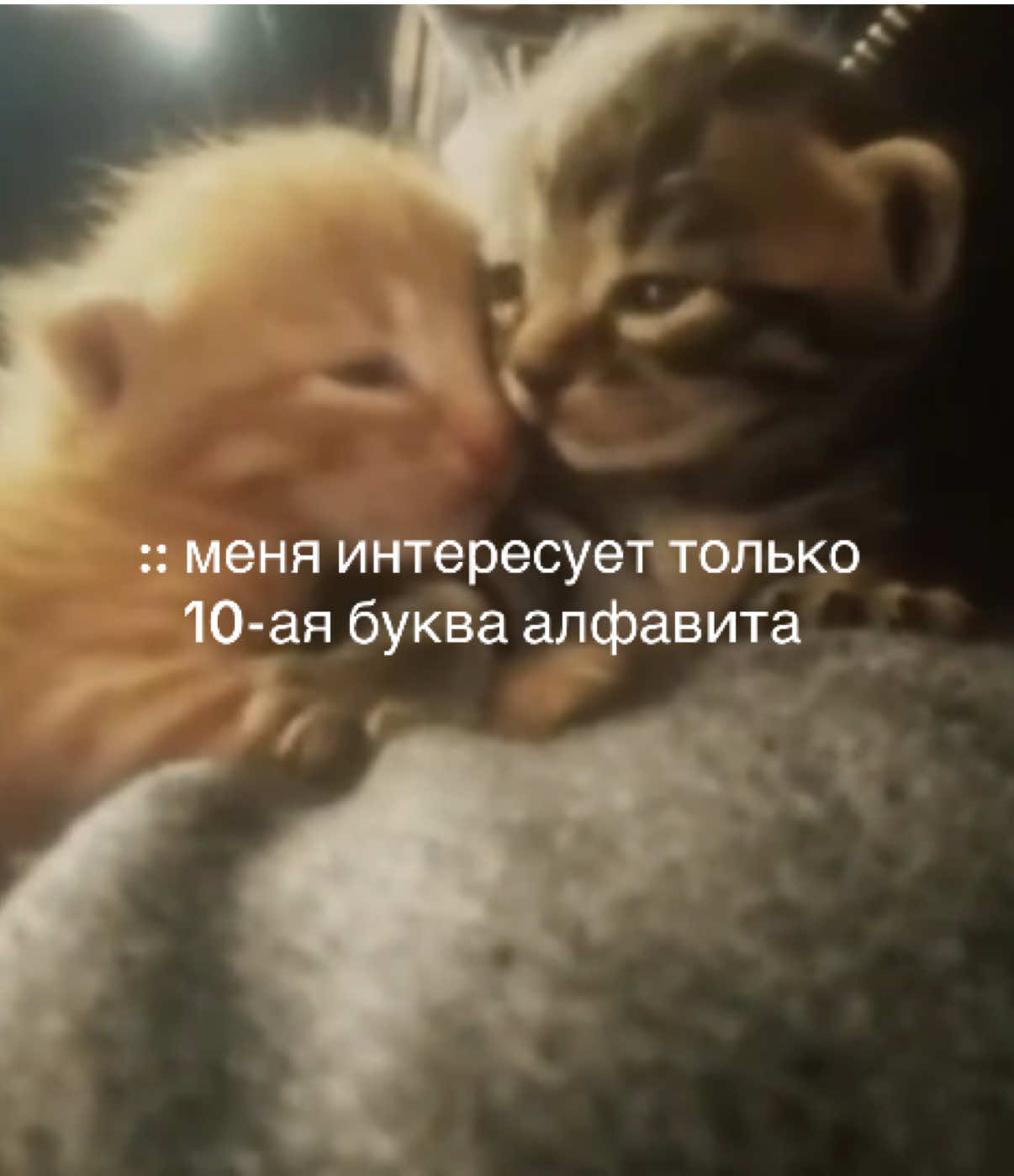 @люблю илюшу