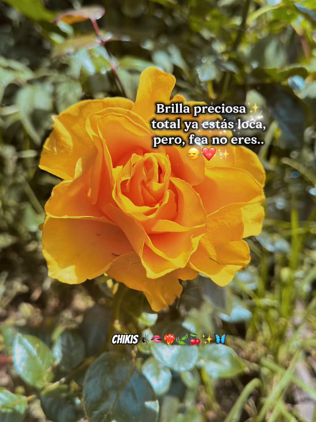 @👑🄲𝔥𝔦k̊̈𝔦ֆ🕷️🪼💋❤️🔥🍒