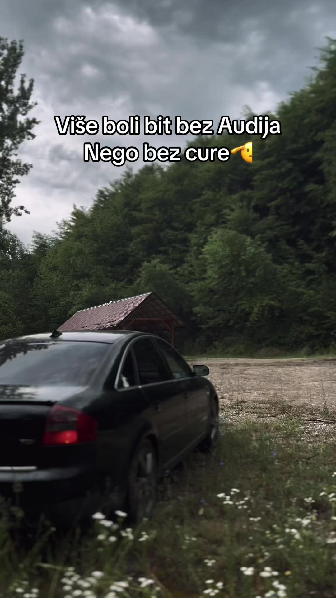 @AUDI SMRTI😈