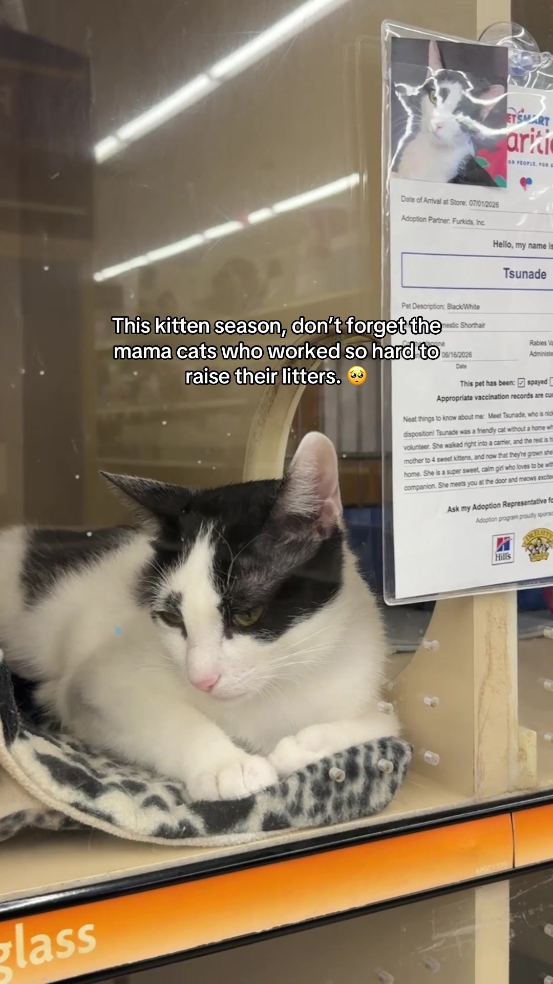 @Deanna | ATL Animal Rescue 🖤