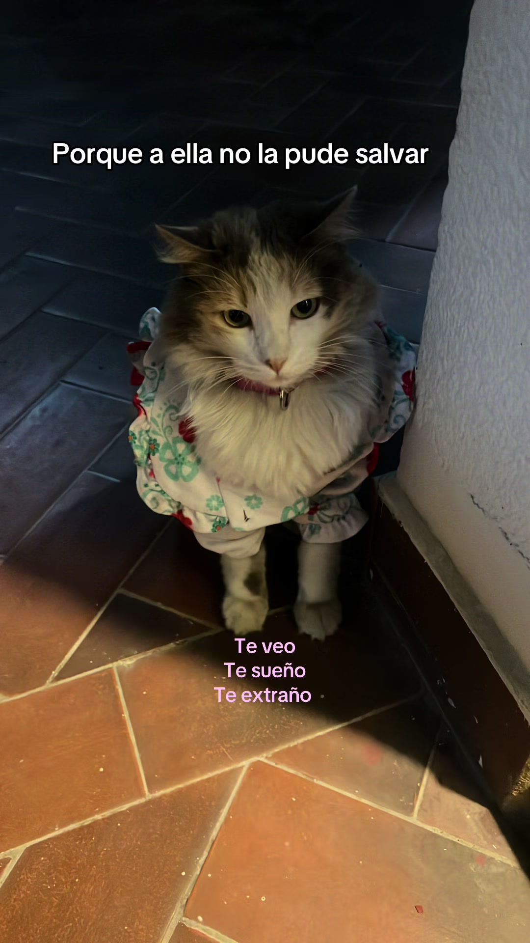 @Luc&iacute;a <3