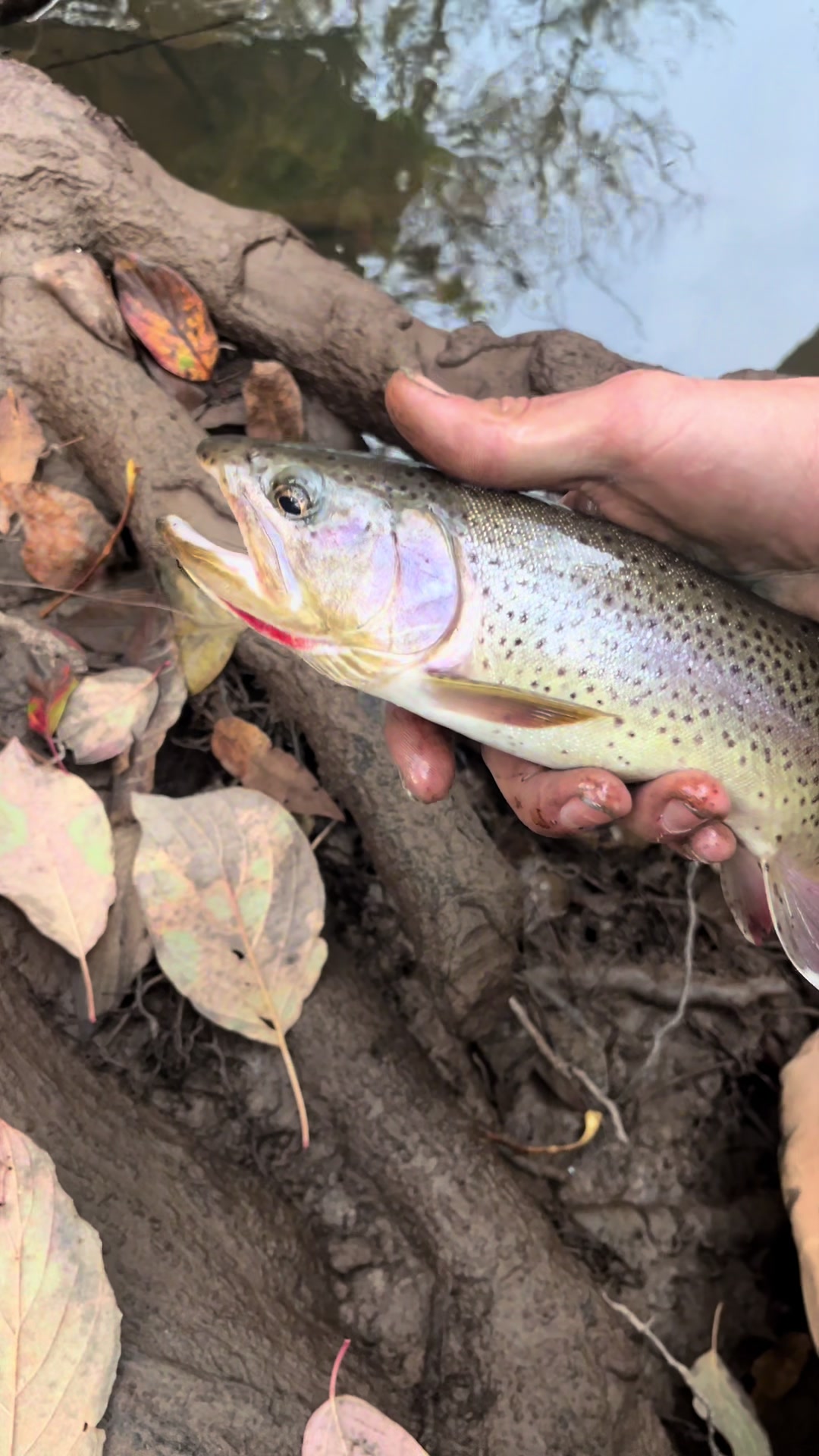 @FishingWithCam