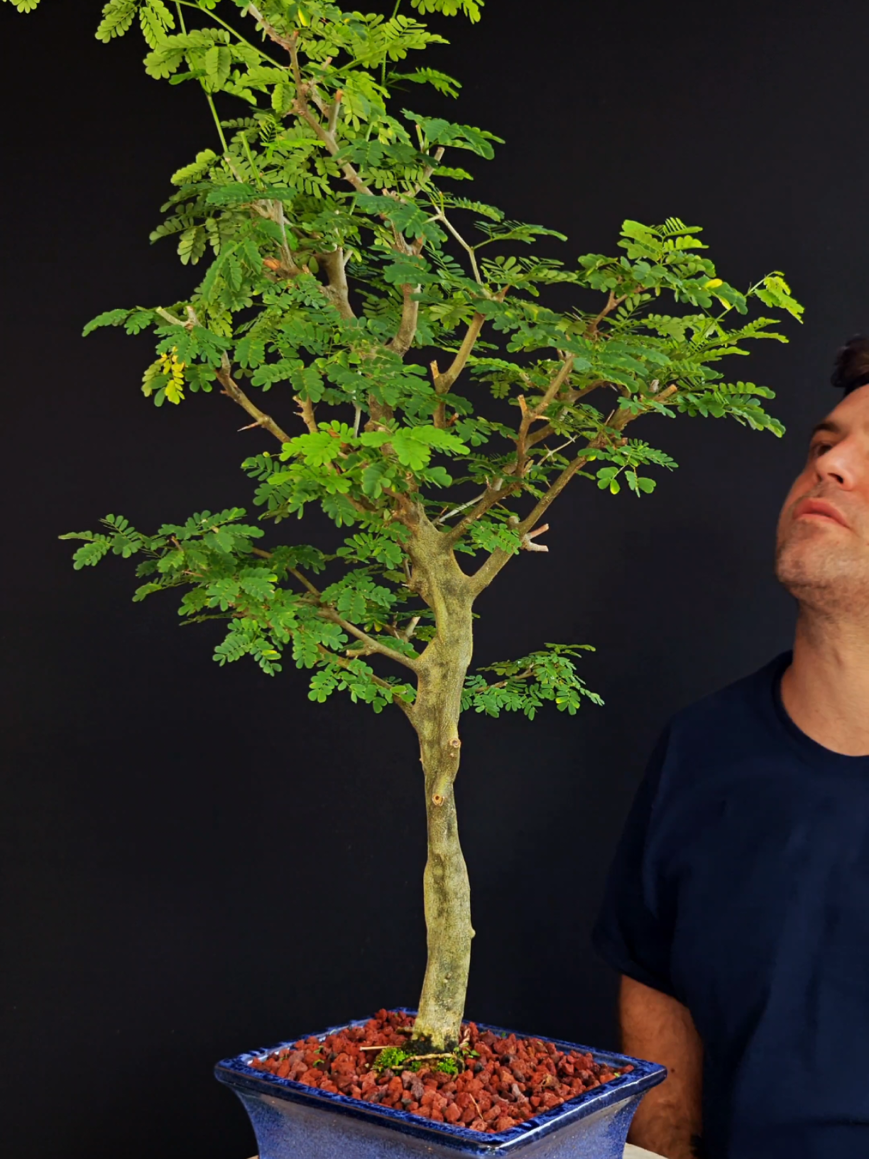 @Bryan Loves Bonsai