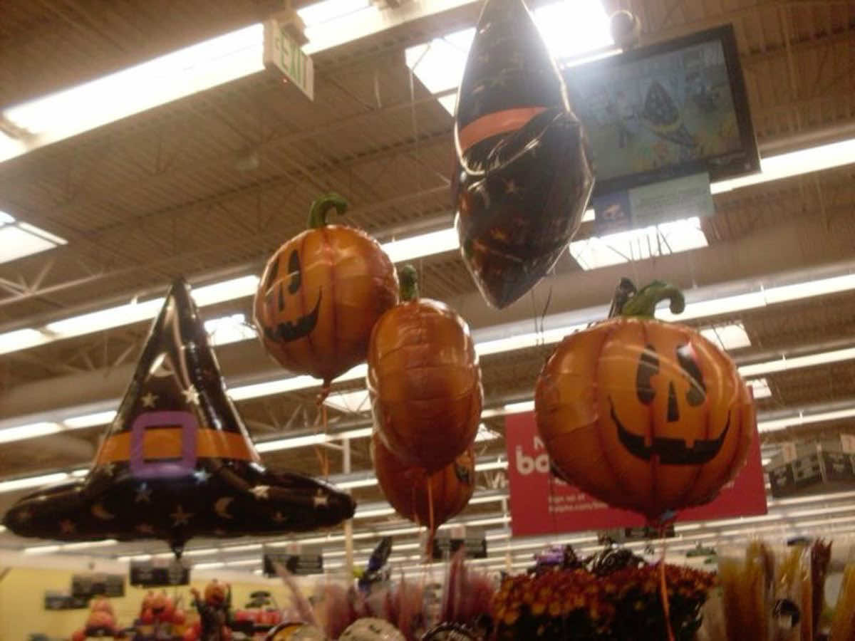 @🧪🚫𝐬𝐮𝐠𝐚𝐫𝐬𝐡𝐚𝐧𝐞🍁🎃