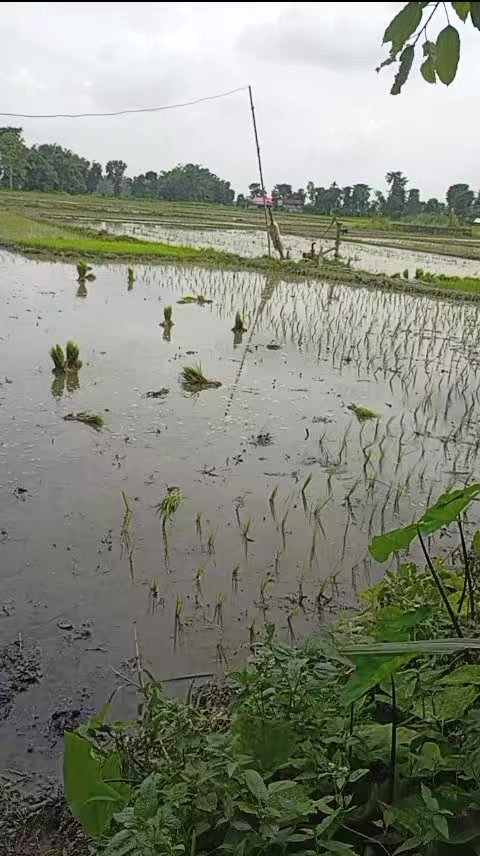 @अनु र