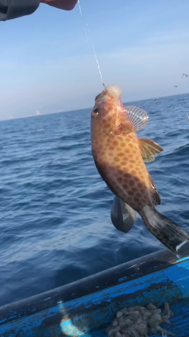@Nha Trang fishing tour
