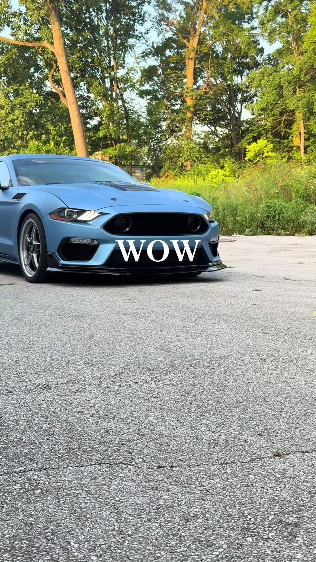 @MDI Wrap Queen- Indianapolis