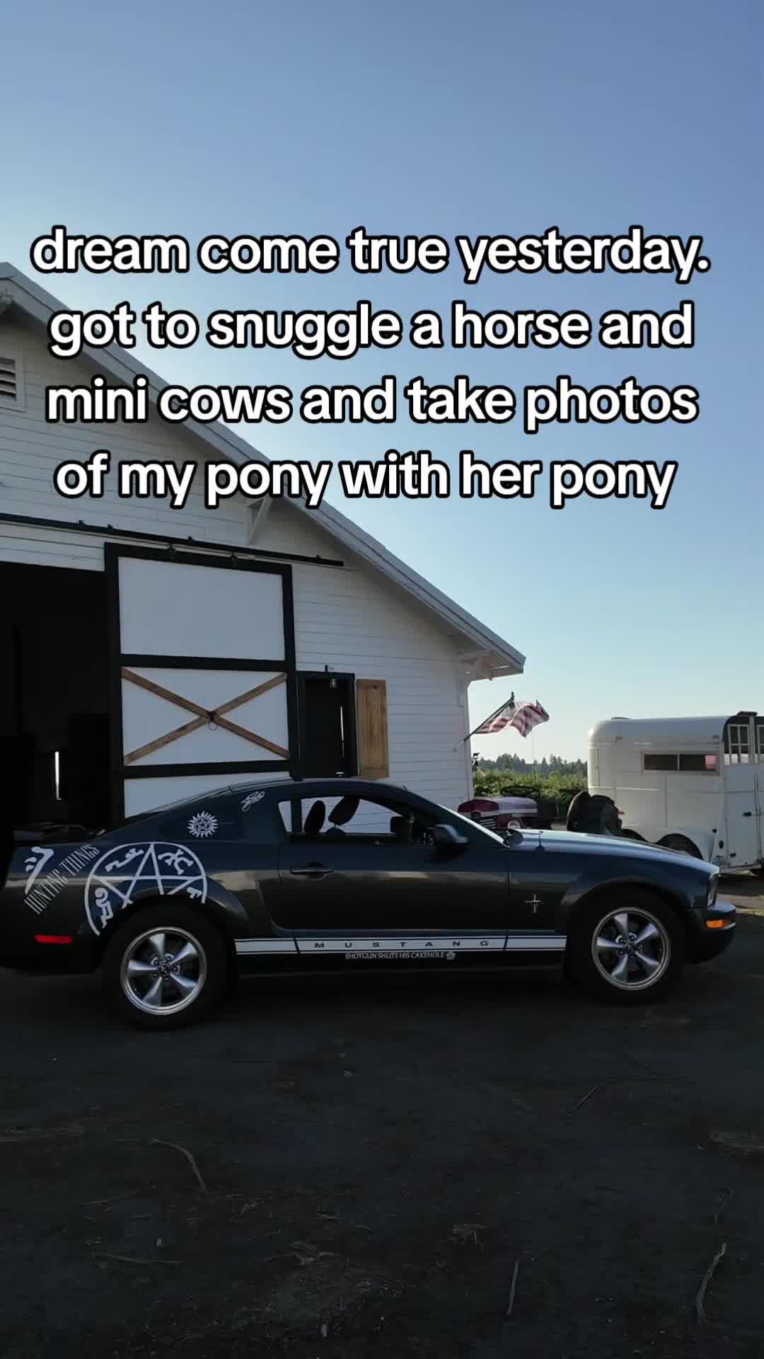 @PonyPackage