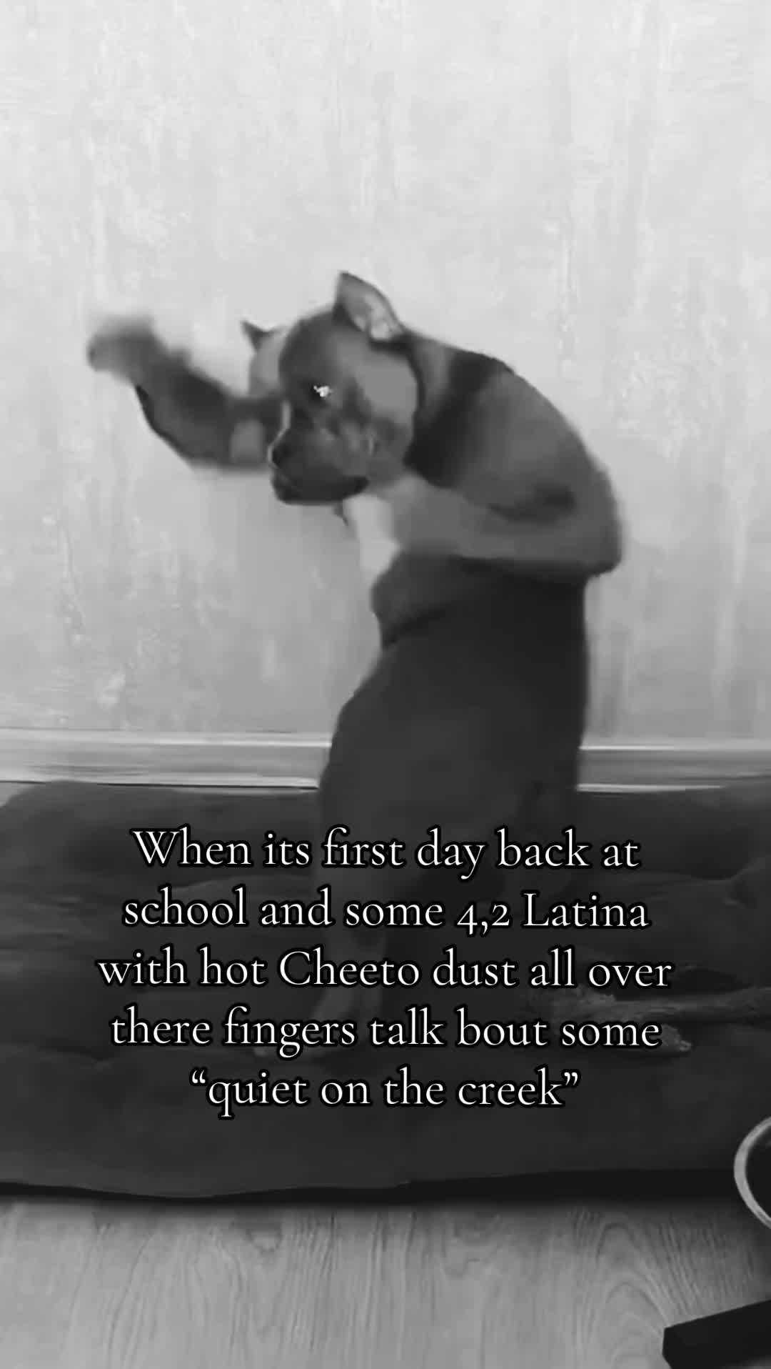 @joseisgoated0