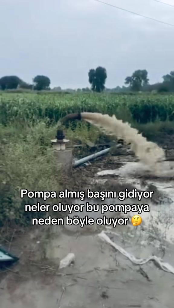 @Yalin kaya